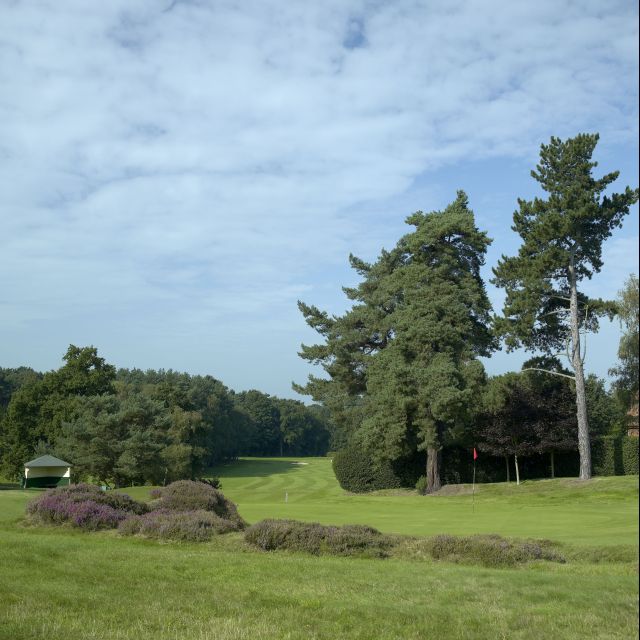 SUNNINGDALE LADIES GOLF CLUB Golf South